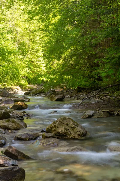 緑の森の中に速い山の川の流れ カルパチア人の美しい自然 ウクライナだ ヨーロッパだ 夏の山岳風景 — ストック写真