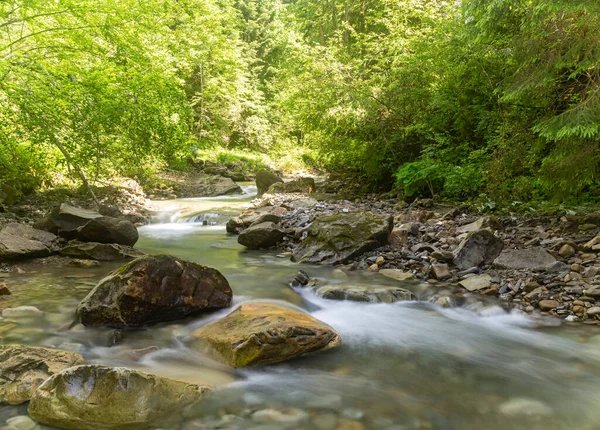 Fast  mountain river flow among green forest. Beautiful nature of Carpathians. Ukraine. Europe. Summer mountain landscape
