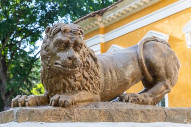 Sarayda ve Samchyky köyünde parka yakın duran gülen bir aslanın antik heykeli. Khmelnytsky bölgesi. Ukrayna. 