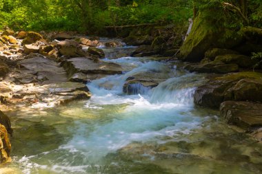 Taşlar arasında hızlı çağlayan dağ akıntısı. Karpatların güzel doğası. Ukrayna. Avrupa. Yaz dağı manzarası.