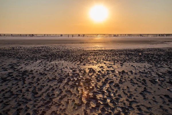 Golden sunset over Syvash lake. Salt lake with healing mud in the rays of the setting sun. Beautiful landscape of Arabat Spit. Sea of Azov. Ukraine. — Stock Image Golden Sunset Syvash Lake Salt Lake Healing Mud Rays Setting Royalty Free Stock Images