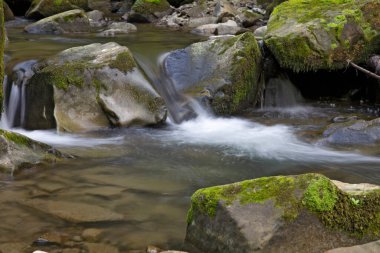 Resimli, hızlı bir dağ deresi dağ geçidinde yosunlu taşlar arasında akıyor. Konum: Kamianka (Kam 'yanka) nehri, Skole Beskids Ulusal Doğa Parkı, Karpat Dağları, Ukrayna.