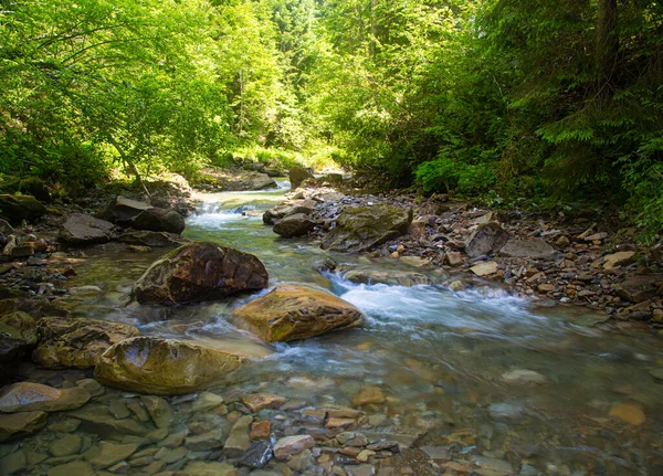 Yeşil orman arasında hızlı dağ nehri akıyor. Karpatların güzel doğası. Ukrayna. Avrupa. Yaz dağı manzarası