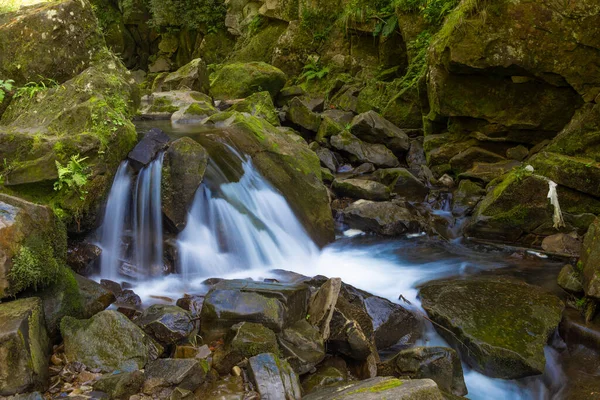 山の峡谷で苔むした石の間の絵のような小さな滝 カムヤンカ川 スコール ベスキッズ国立自然公園 カルパティア山脈 ウクライナ — ストック写真