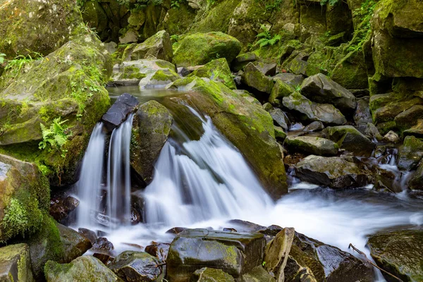 Bir dağ geçidinde yosunlu taşların arasında küçük bir şelale. Konum: Kamianka (Kam 'yanka) nehri, Skole Beskids Ulusal Doğa Parkı, Karpat Dağları, Ukrayna