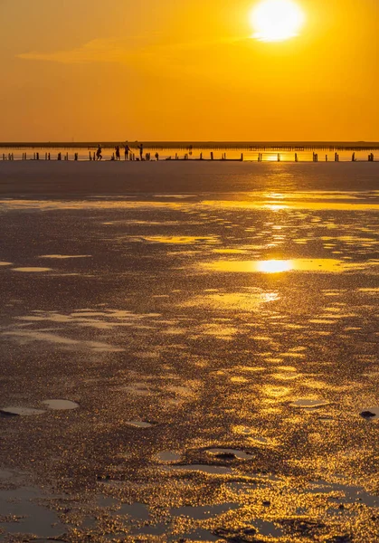 Golden sunset over Syvash lake. Salt lake with healing mud in the rays of the setting sun. Beautiful landscape of Arabat Spit. Sea of Azov. Ukraine. — Stock Image Golden Sunset Syvash Lake Salt Lake Healing Mud Rays Setting Royalty Free Stock Images