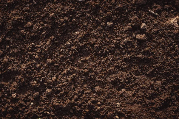 Close Loam Fértil Para Fundo — Fotografia de Stock