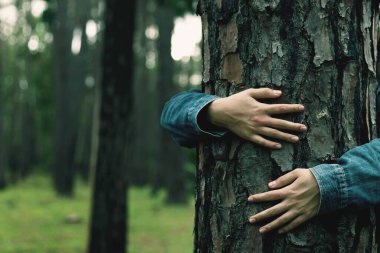 Turist, dur ve ağacı kucakla. Doğaya olan sevgiyi temsil ediyor.