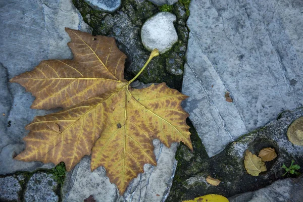 Foto Torr Ledighet Med Kalla Färger Och Solljus — Stockfoto