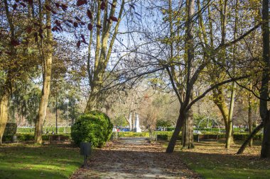 Çeşitli ağaçlar ve güneş ışığı ile bir park fotoğrafı