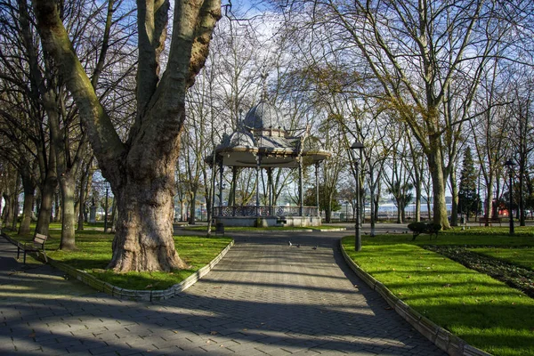 Foto Parque Asturiano Con Árboles Hierba Verde Sol Sombra — Foto de Stock