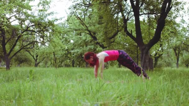 Yoga instructeur fille montrant posture d'angle latéral étendu vers le bas face chien, à juste titre l'un des yogas pose la plus largement reconnue, Adho Mukha Svanasana, étirement rajeunissant. Prores 422 — Video