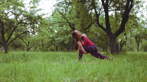 Instructor yogi κορίτσι κάνοντας χαμηλή περιστρεφόμενη γωνία πλευρά θέτουν, απαιτεί πολλή ευελιξία για να στρίψει τόσο βαθιά και το έδαφος πίσω φτέρνα. Πρότυπα 422 — Αρχείο Βίντεο