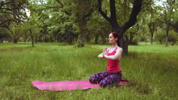 Trenerka na świeżym powietrzu ćwiczy relaks. Klasy jogi proste Pose Padmasana Oświeć się, jest uważany za średnio zaawansowaną do zaawansowanej pozycji. Prores 422 — Wideo stockowe