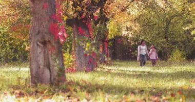 Sonbahar parkında peri masalı renginde ağaçların arasında yürüyen anne eli olan bir kız. Renkli görüntüler. Uzayı kopyala Aile kavramı. Prores 422