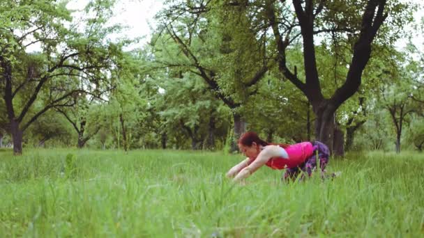 Tränare som gör Uppåtvänd hund till nedåtvända hundyogaposer som sträcker ut sig utomhus i naturen eller trädgården. Prores 422 — Stockvideo