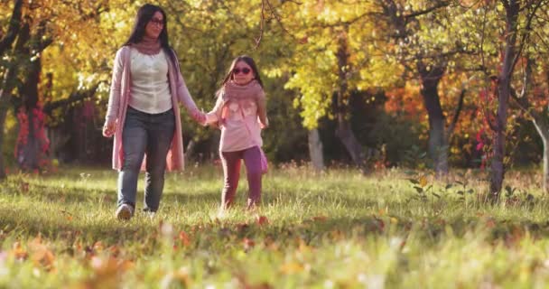 Μητέρα κρατώντας το χέρι κόρη περπάτημα στο πάρκο φθινόπωρο μεταξύ των δέντρων με ένα πολύχρωμο παραμύθι χρυσό χρώμα. Βαμμένο υλικό. Αντιγραφή χώρου. Οικογένεια Concept. Πρότυπα 422 — Αρχείο Βίντεο
