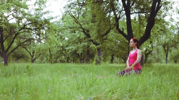 La chica instructora de yoga que realiza la técnica de respiración requiere mucha meditación haciendo ejercicios al aire libre en el parque o jardín. Prores 422 — Vídeos de Stock