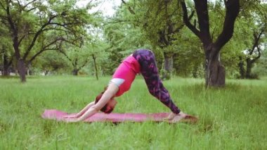 Yoga eğitmeni kadın parkta sağlıklı yaşam pratiği yapıyor. Kaslarını esnetiyor. Köpekle karşı karşıya. Yaga konsepti. Prores 422