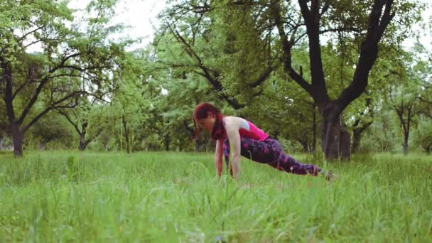 Дівчина-інструктор з йоги, що показує розширення гірських альпіністів, практикує на відкритому повітрі в парку або саду. Проходить 422 — стокове відео