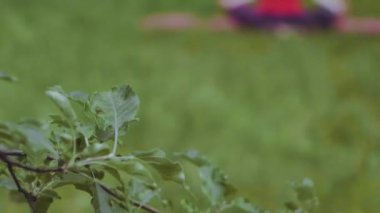 Seçici odaklanma. Yoga eğitmeni kız meditasyon yaparken nefes alma tekniği uyguluyor dışarıda ya da bahçede egzersiz yapıyor. Prores 422