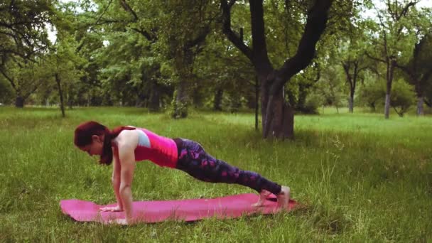 Chaturanga dandasana pozu veren yoga eğitmeni kız parkta ya da bahçede bu düşük hamlede kalçaları ve kasıkları gerer ve göğsü açar. Prores 422 — Stok video