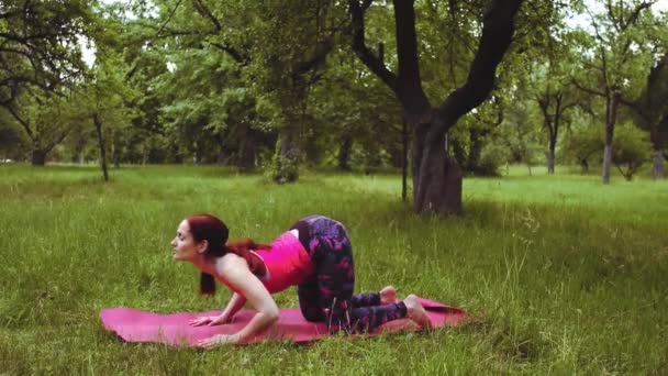 Yogalehrerin Mädchen zeigt astangasana Stretch Pose im Freien in Park oder Garten Diese niedrige Ausfallvariante dehnt die Schenkel und Leisten und öffnet die Brust. Prores 422 — Stockvideo