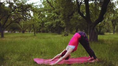 Yogacı kız parkta ya da bahçede tek bacaklı köpek egzersizi yapıyor. Kalça eklemlerinde esneklik ve istikrarın korunması bel altı sağlığı için çok önemlidir. Prores 422