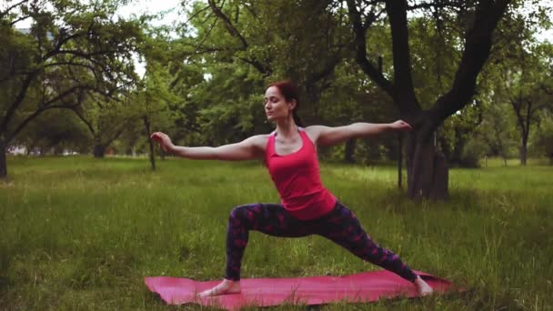 Yoga fille pratiquant l'alignement sain de la hanche en guerrier 2 exercice à l'extérieur dans le parc ou le jardin. Le maintien de la flexibilité et de la stabilité des articulations de la hanche est crucial pour la santé du bas du dos. Prores 422 — Video