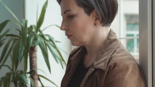 Freelancer madura mujer de pelo gris que trabaja en el portátil sentado recostado contra la ventana. Concepto de negocio. La cámara se desliza. Prores 422 — Vídeos de Stock