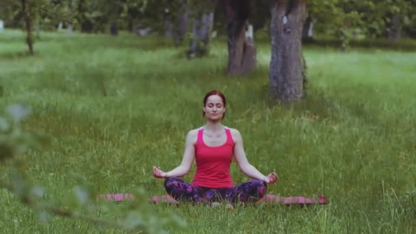 Yoga flicka sitter i Lotus poserar praktiserande andningsteknik motion utomhus i parken eller trädgården. Flexibilitet och stabilitet i höftlederna är avgörande för ländryggens hälsa. Prores 422 — Stockvideo