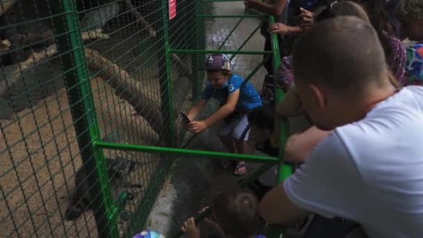 Les enfants prennent des photos sur les smartphones. Le raton laveur dans la volière mâche de délicieux légumes avec lesquels il a été traité. Zoo de Kiev. Juin 2020. Kiev Ukraine. Des images avec son. Prores 422 — Video