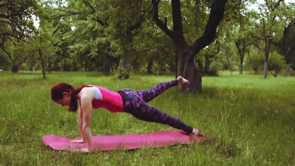 Instructeur de yoga fille moitié planche fendue étirement pose redresser jambe gauche et soulever à droite, garder les mains sur le sol et vous défier à l'extérieur dans le parc ou le jardin. Prores 422 — Video