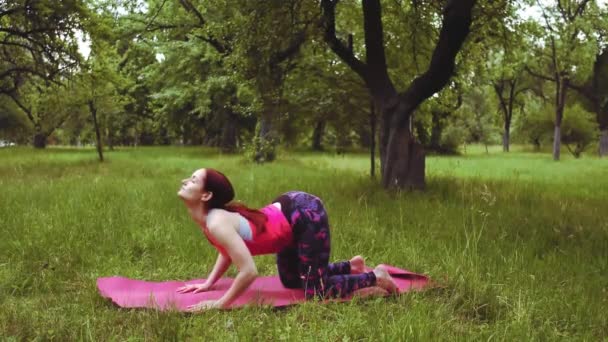 Yoga instruktör flicka visar ko posera till en katt sträcka posera utomhus i park eller trädgård Denna låg lunge variationen sträcker låren och groins och öppnar bröstet. Prores 422 — Stockvideo