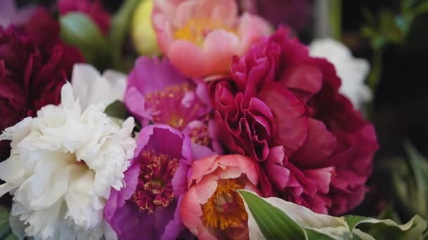 Chrysanthèmes multicolores dans un bouquet recueilli. sont originaires d'Asie de l'Est et d'Europe du Nord-Est. Prores 422 — Video