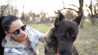 Sahibi parkta bir Alman çobanla oynuyor. Köpek kadına pençesini uzatır ve topu alır. Köpek Eğitim Konsepti. Yüksek kalite 4k görüntü