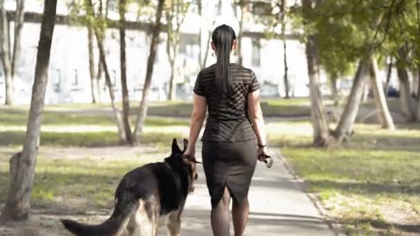 Pigen går tur med en hund i snor i parken. Ejeren holder den tyske hyrde i snor. Hunden går i nærheden. Høj kvalitet 4k optagelser – Stock-video