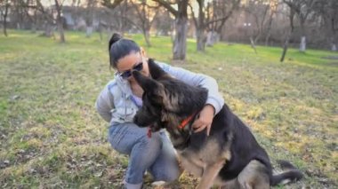 Sahibi topu parktaki çoban köpeğinden saklar. Genç kadın sonbaharda caddede büyük köpekle oynuyor. Yüksek kalite 4k görüntü