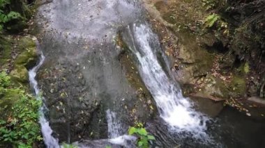 dere, güzel doğa, dağlar, berrak dağ suyu, Karpatlar, şelale, hızlı dağ deresi, taş