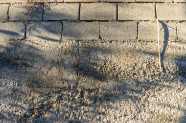 Tuğlalı ve bitki gölgeli beton duvar