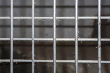 Demir yarığı örümcek ağlarıyla kapatın.