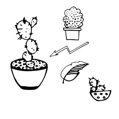  Kaktüslü simgelerin siyah beyaz görüntüleri. Çocuklar için bir oyun, tahmin et. Logo, dövme, boyama kitabı, baskı tasarımı. izole arkaplan.