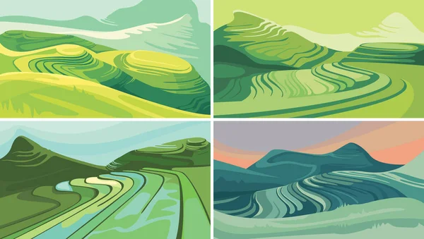 Ensemble Terrasses Riz Beaux Paysages Agricoles — Image vectorielle