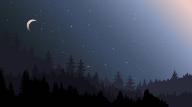 Geceleyin orman manzarası.