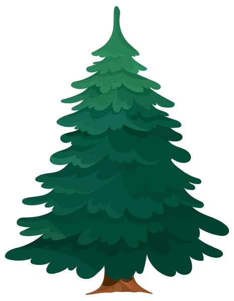 Árbol siempreverde aislado sobre fondo blanco. — Vector de stock