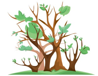 Beyaz arka planda yalıtılmış bahar ormanı. Tomurcuklanan yapraklı ağaçlar.