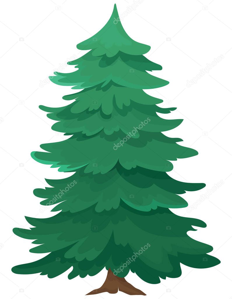 Holiday tree isolated on white background. Conifer in cartoon style.