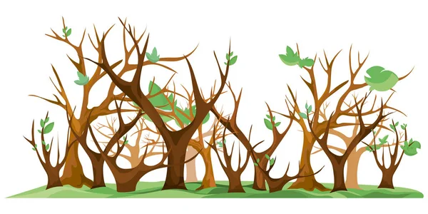 Bäume mit aufkeimenden Blättern im Cartoon-Stil. — Stockvektor
