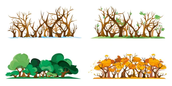 Bosque aislado en diferentes épocas del año. — Vector de stock