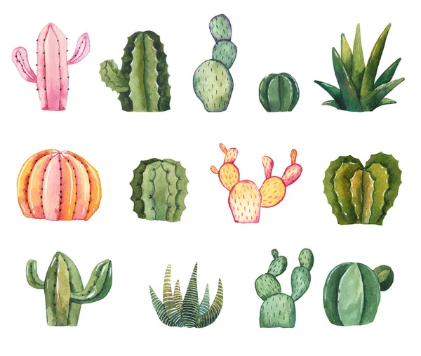 Acuarelă Ilustrație Desenată Manual Cactus Suculente Plante Casă Acuarelă Fundal — Fotografie, imagine de stoc